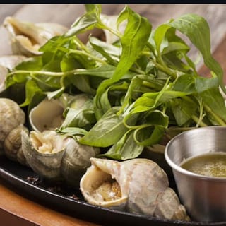Whelk (Oc Bien)